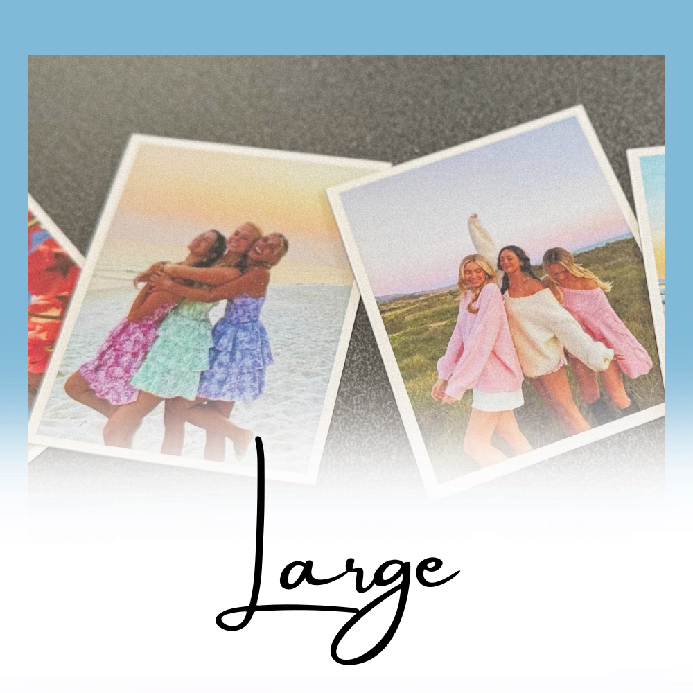 Large Magnets (3.25x4")